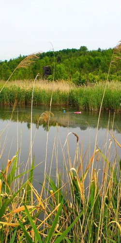 2014 Zachrany raket Jana Míckova